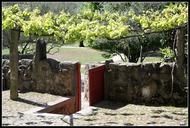 Parque da Cidade