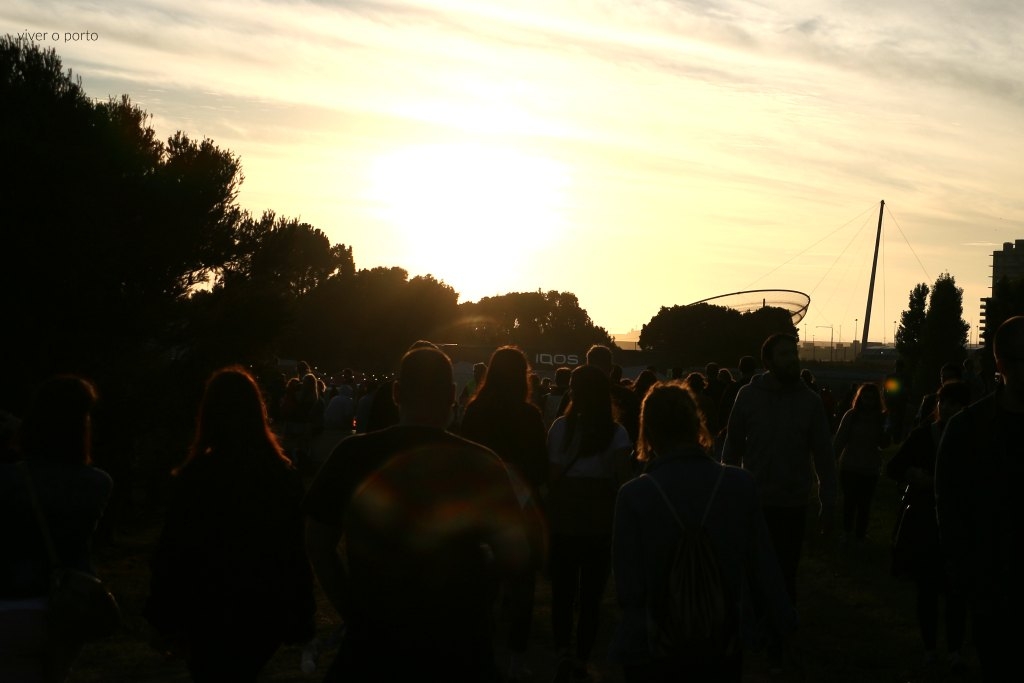 nosprimaverasoundanemona