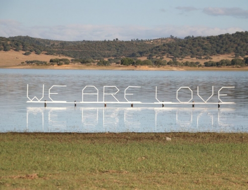 Being Gathering 2017 – at the magical boom land