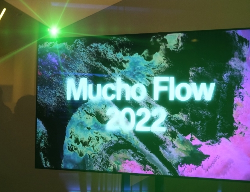 MuchoFlowFestival | o festival que abraça o futuro