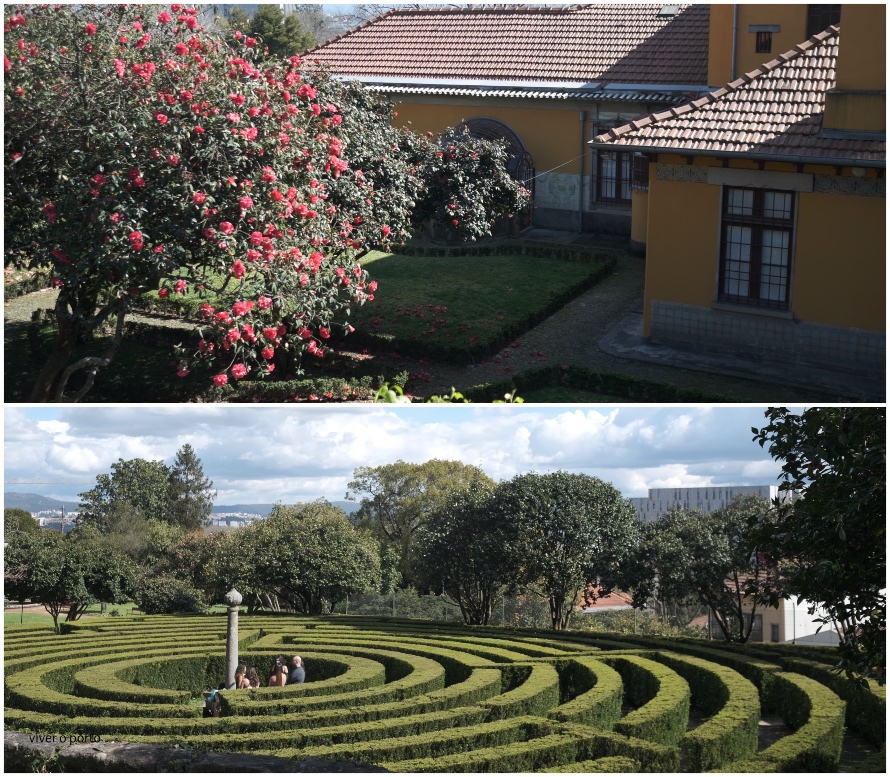 Desbravar Campanhã