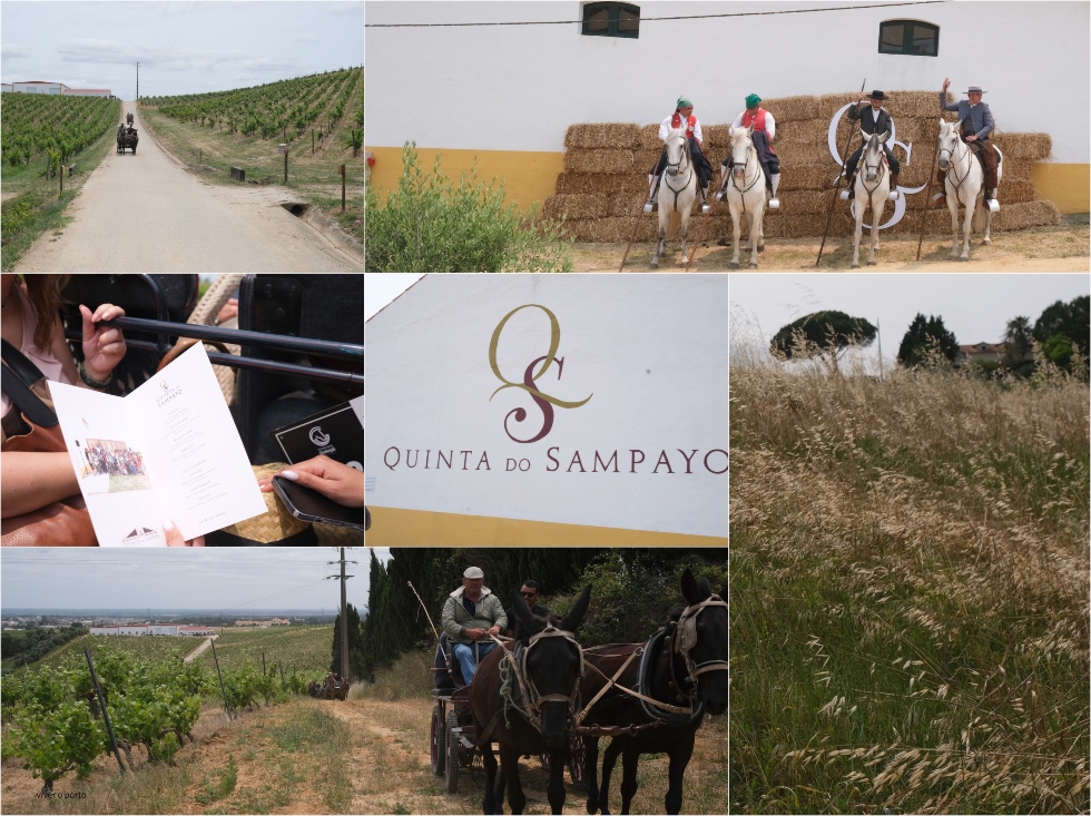Quinta do Sampayo