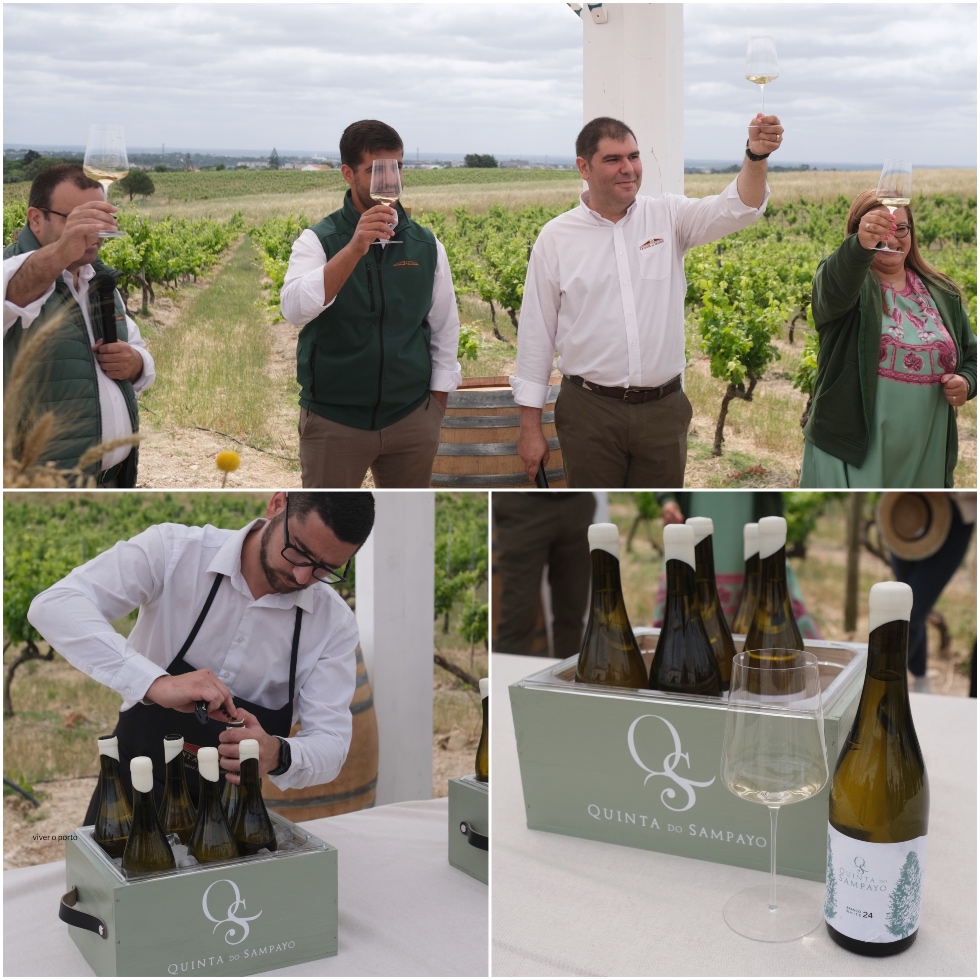 Quinta do Sampayo