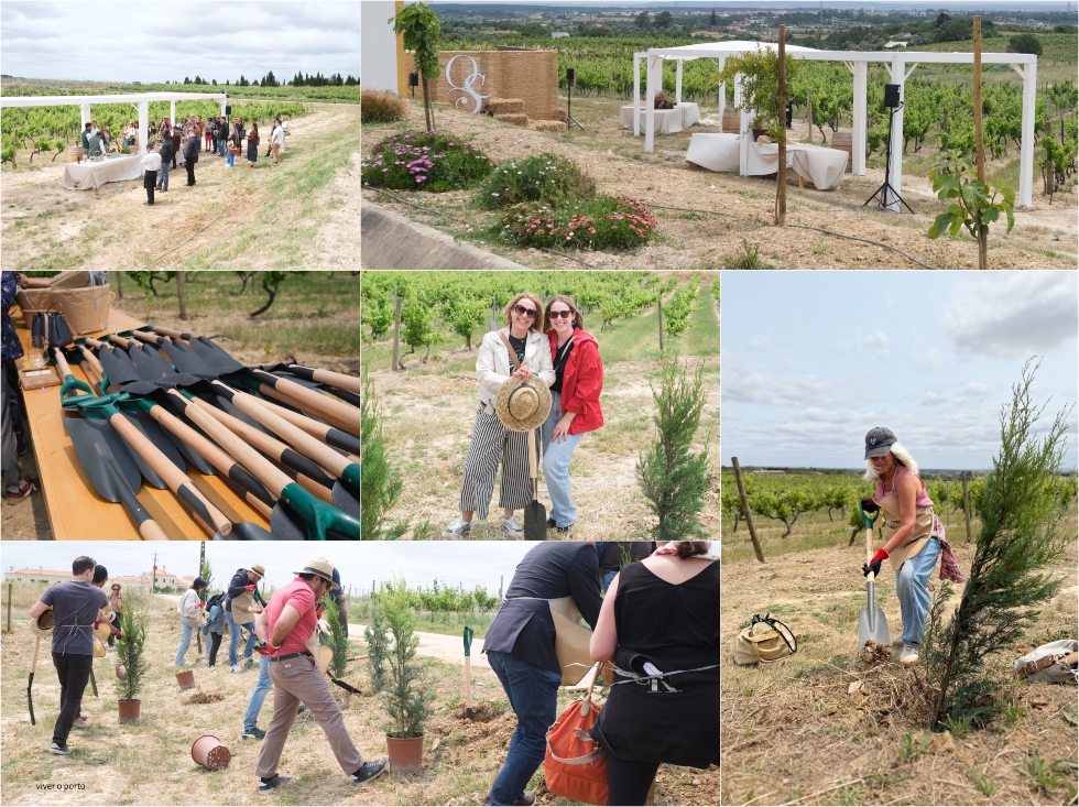 Quinta do Sampayo