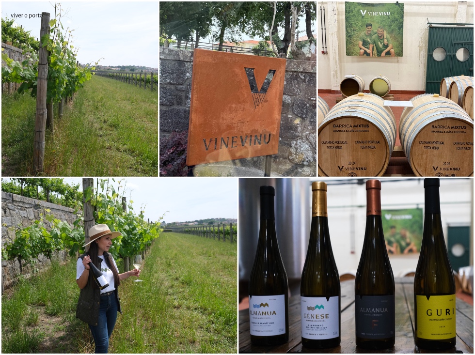 VineVinu