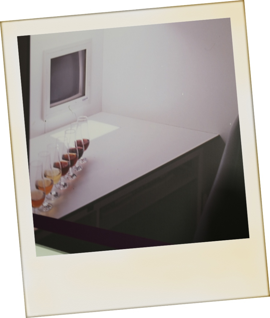 IVDP - Instituto dos Vinhos do Douro e Porto