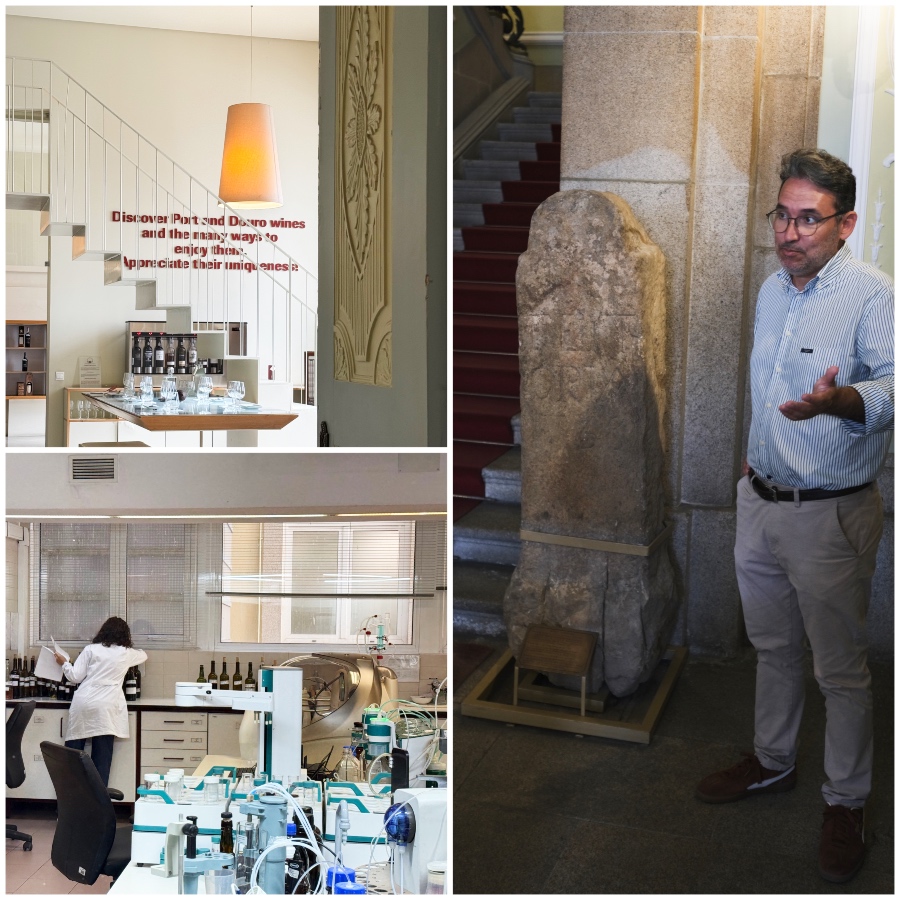 Instituto Vinhos Douro e Porto