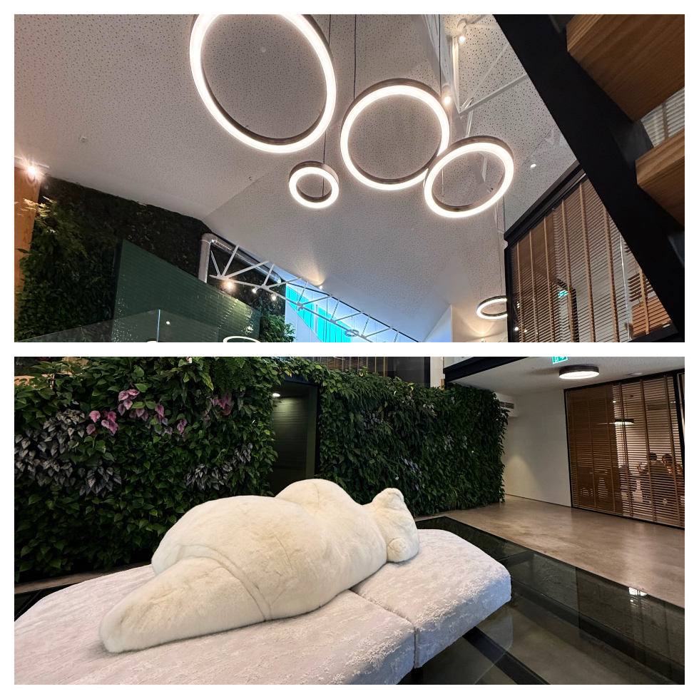 Lionesa Business Hub