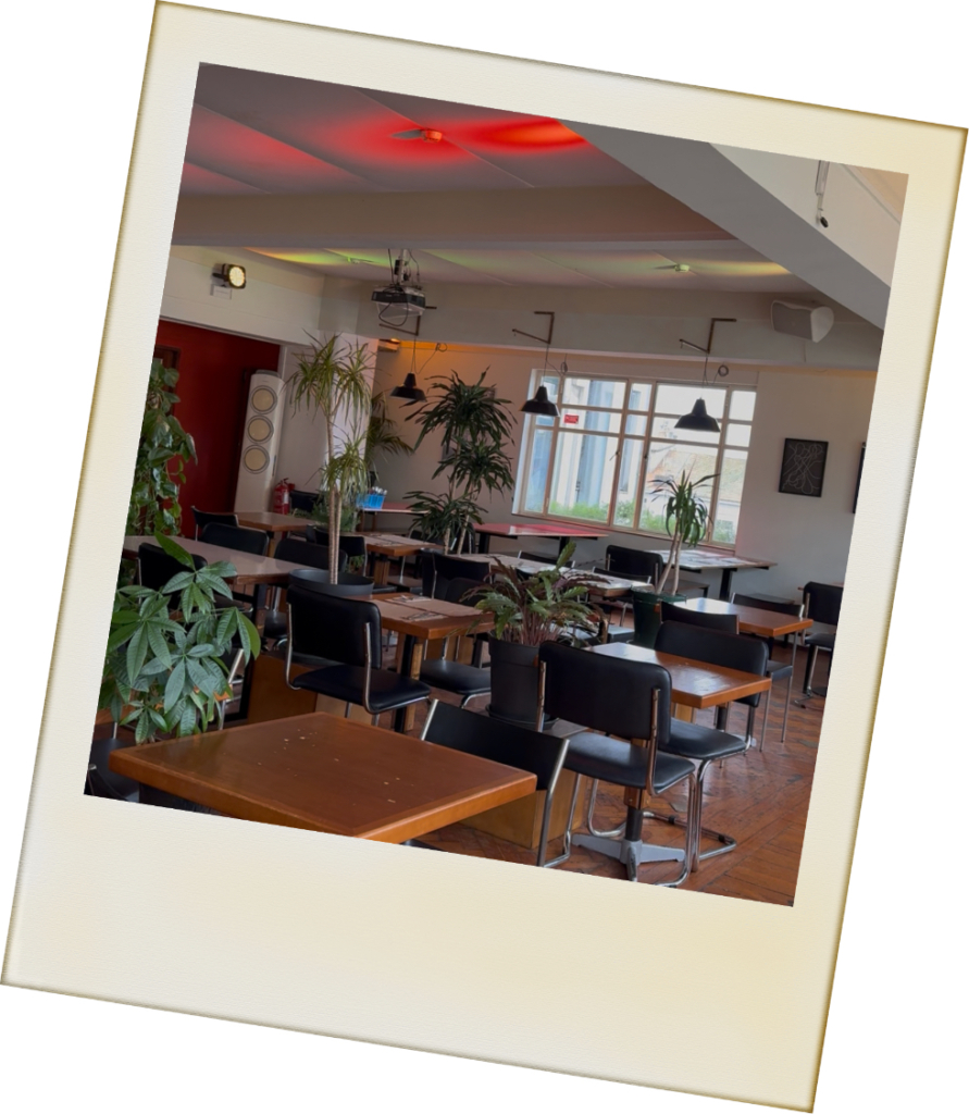 O Salgado Faz Anos Fest - entrevista ao Salgado