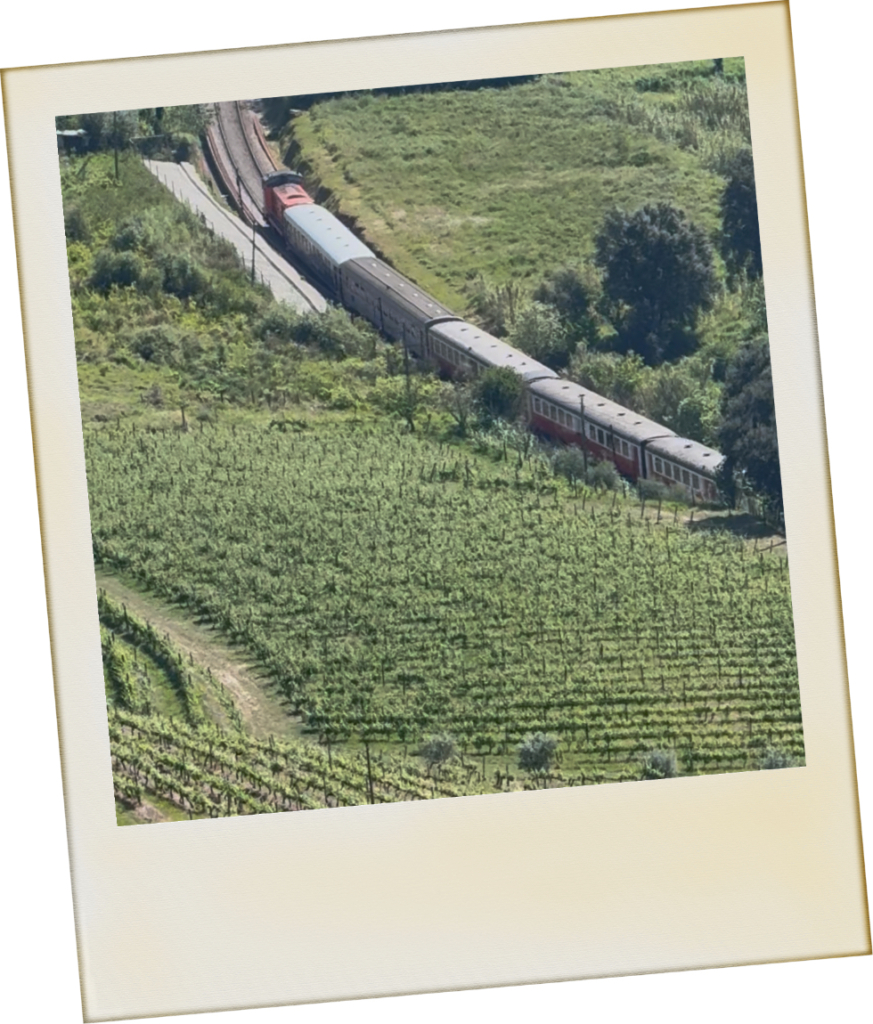 Imaginário D'El Rei - um refúgio de sonho em Mesão Frio. 