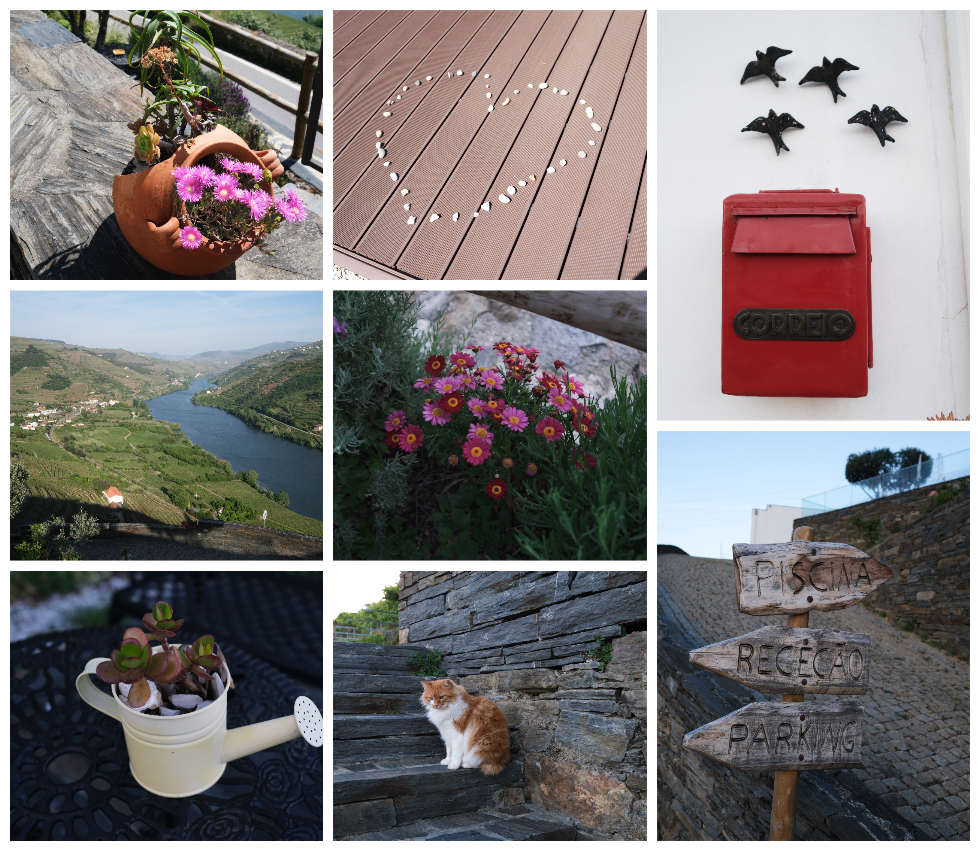 Imaginário D'El Rei. Um refúgio de sonho no Douro