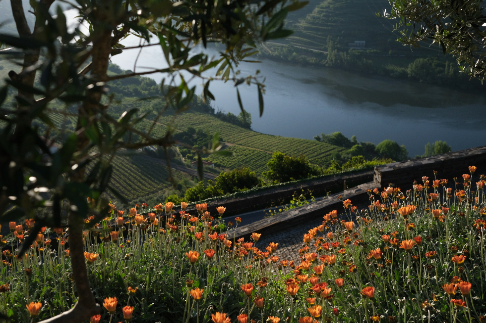 Imaginário D'El Rei. Um refúgio de sonho no Douro