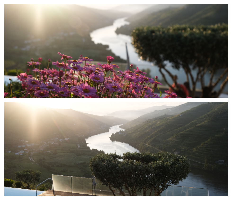 Imaginário D'El Rei. Um refúgio de sonho no Douro