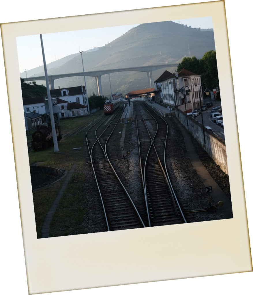 Original Douro Hotel