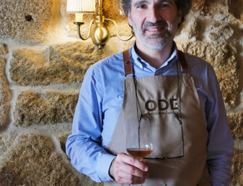 Uma ode à mesa: o ODE Porto celebra 15 anos, com 15 jantares vínicos exclusivos