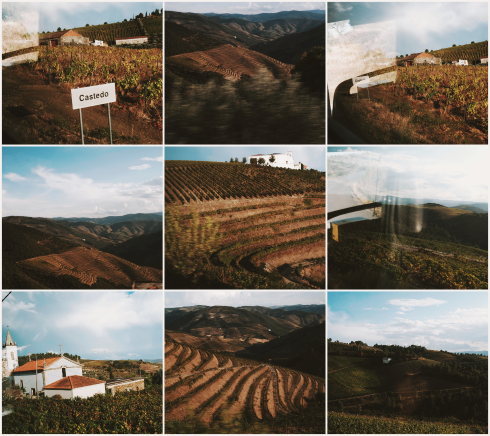 Host Douro 2026